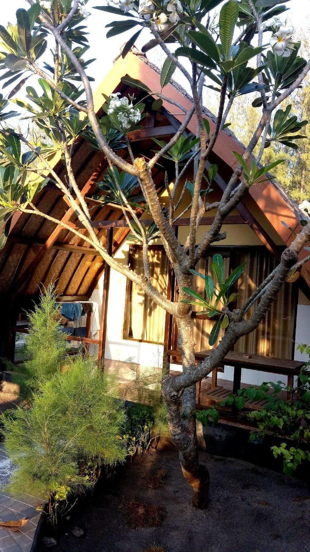 Pondok Windy Gili Trawangan Exterior photo